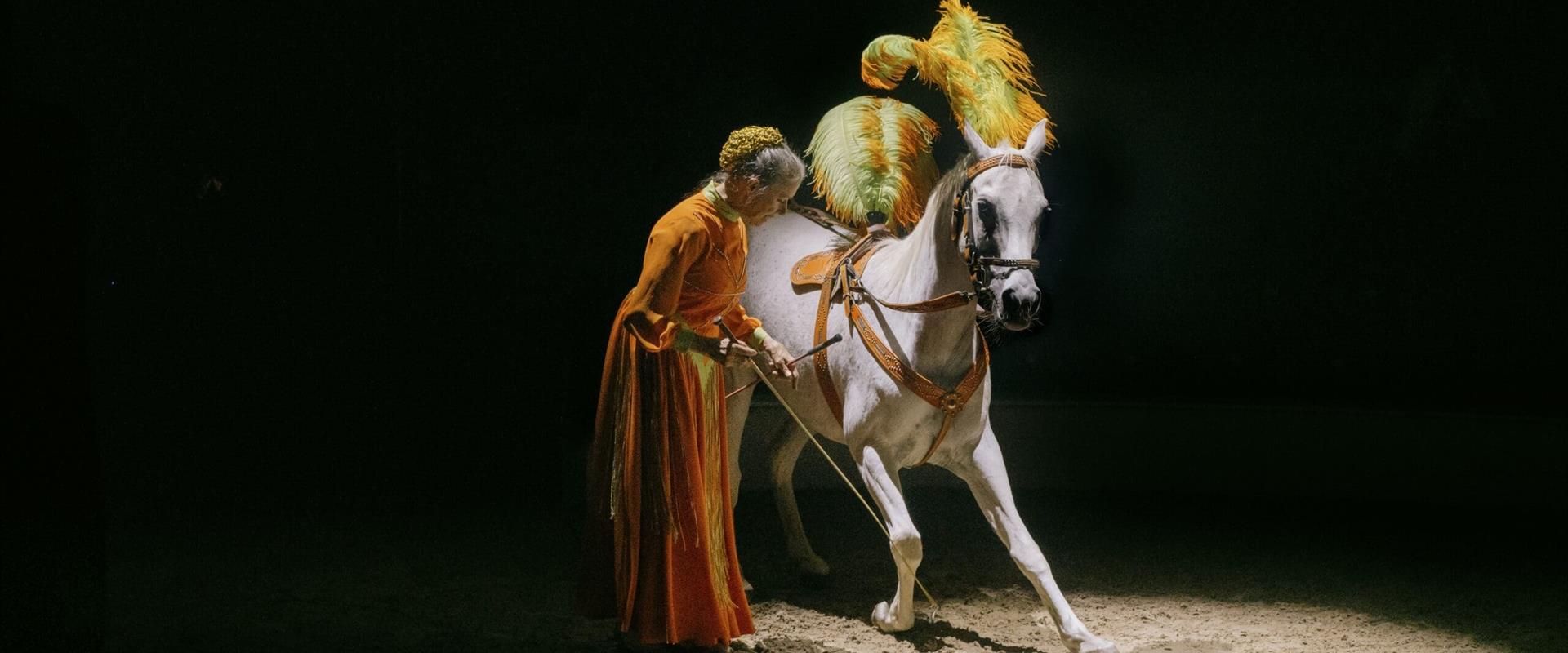 Katja Schumann¤CirkusGården - Hesteshow 2026