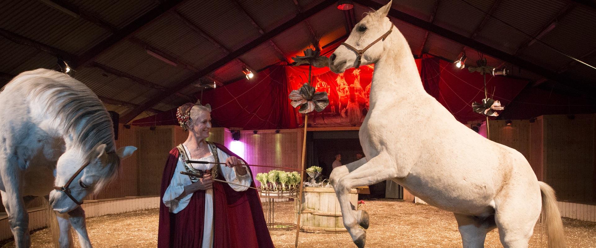 Oplev vores Cirkusforestilling¤Køb billetter