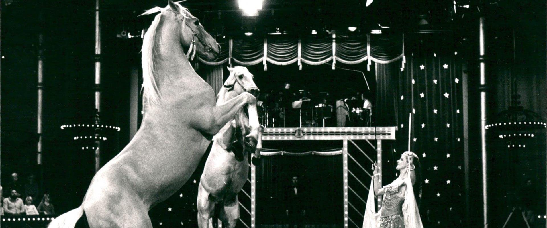 Oplev De Schumannske samlinger¤Læs mere her